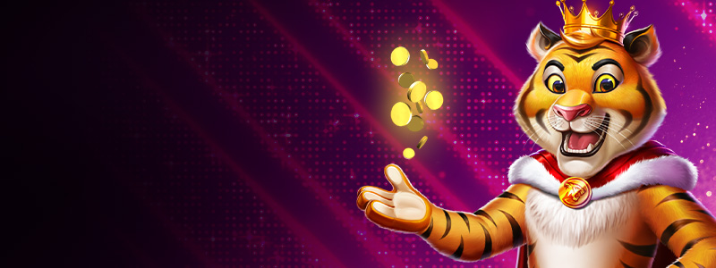Stortingsbonus